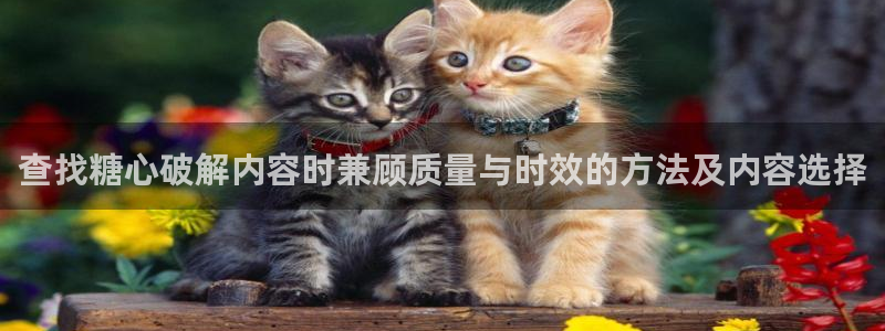 糖心vlog 免费:查找糖心破解内容时兼顾质量与时效的方法及内容选择