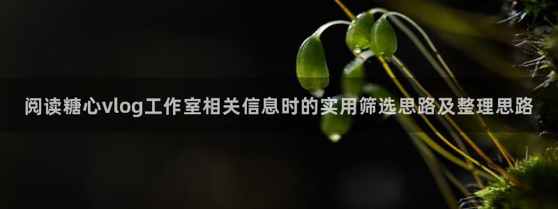 糖心短视频：阅读糖心vlog工作室相关信息时的实用筛选思路及整理思路