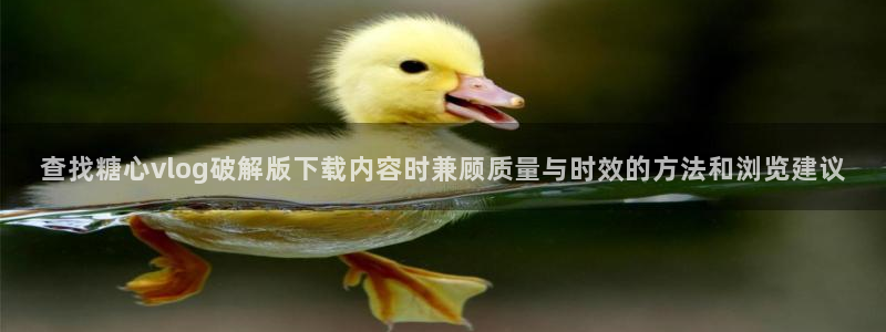 心糖vlog：查找糖心vlog破解版下载内容时兼顾质量与时效的方法和浏览建议