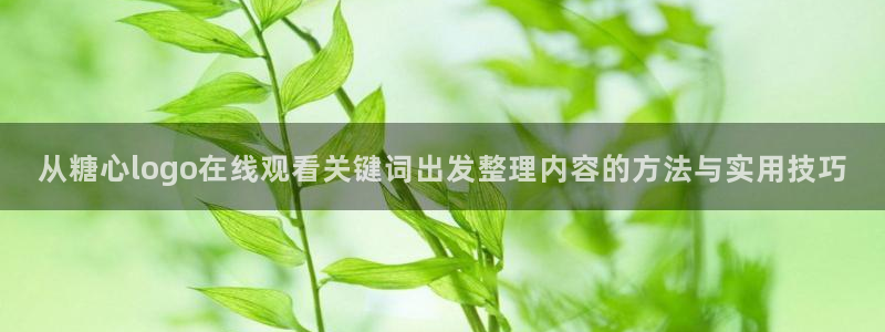 糖心vlog网址:从糖心logo在线观看关键词出发整理内容的方法与实用技巧