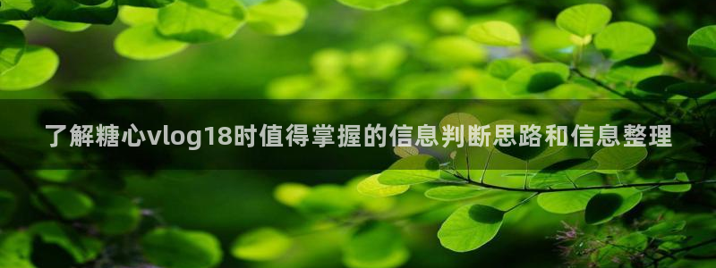 糖心vlog免费高清观看:了解糖心vlog18时值得掌握的信息判断思路和信息整理