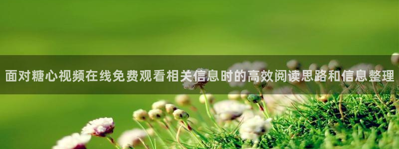糖心在线观看免费：面对糖心视频在线免费观看相关信息时的高效阅读思路和信息整理