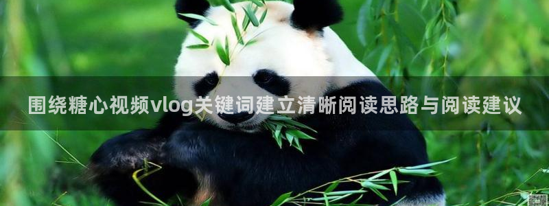 心糖logo官网：围绕糖心视频vlog关键词建立清晰阅读思路与阅读建议