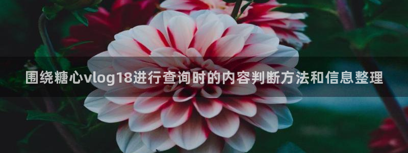 糖心vlog网站:围绕糖心vlog18进行查询时的内容判断方法和信息整理