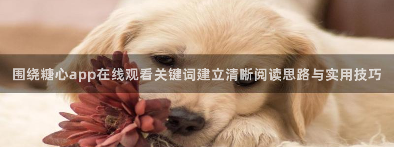糖心vlog:围绕糖心app在线观看关键词建立清晰阅读思路与实用技巧