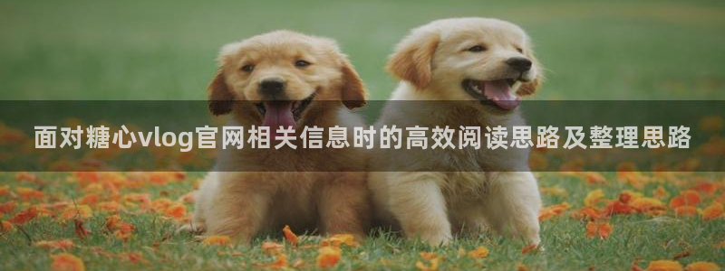 心糖logo官网入口网页:面对糖心vlog官网相关信息时的高效阅读思路及整理思路